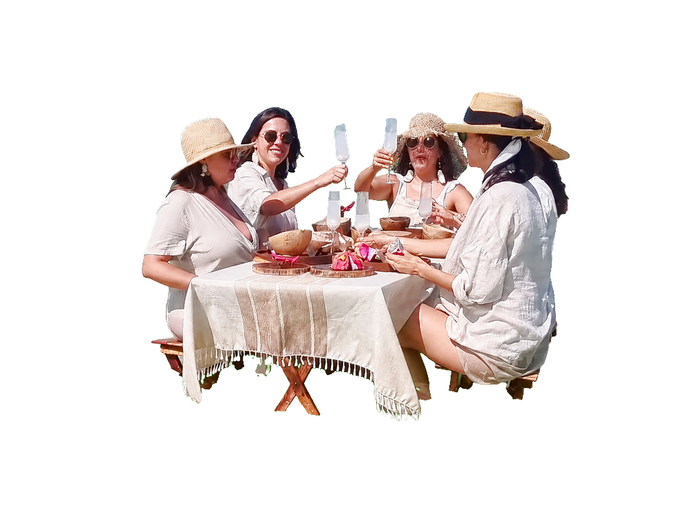 Amigas brindando en el Picnic