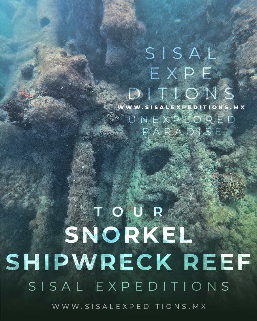 Embarcación Sisal Dive Center · Yucatán