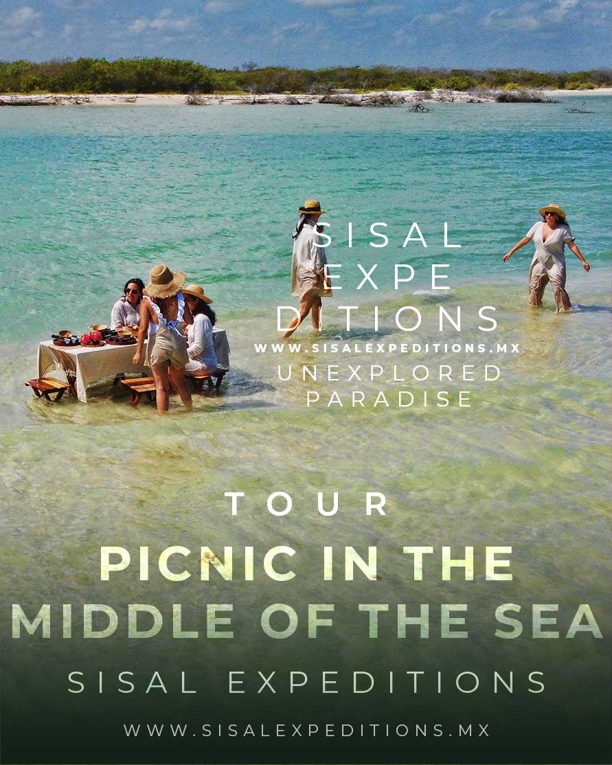 Picnic en Medio del Mar · Sisal Expeditions